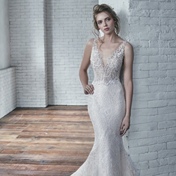 Badgley Mischka Cindy Bridal Wedding Gown - Picture 15 of 16
